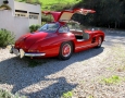 1955 Gullwing 23