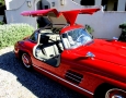 1955 Gullwing 24