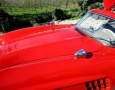 1955 Gullwing 28