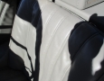 1955 Gullwing 37