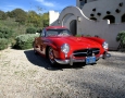 1955 Gullwing 4