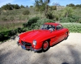 1955 Gullwing 6