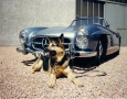 1955sls18