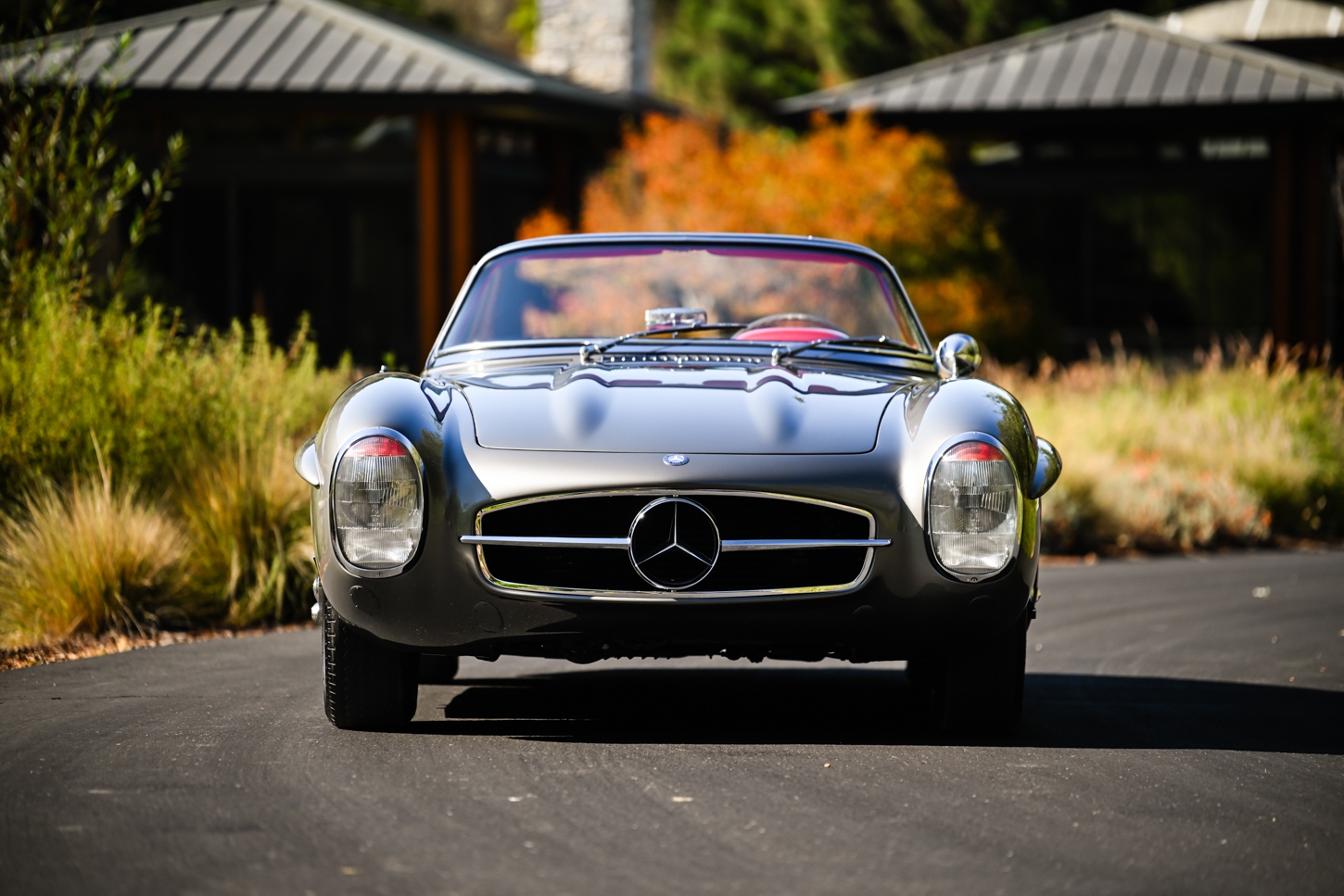 grundfor-mercedes-300sl-roadster-metallic-gray-252