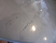 DSCF0286