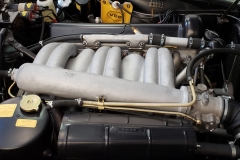 20190326_120826 copy