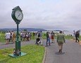 scenes-from-pebble-beach_6698