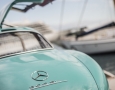 cyan-bird-of-paradise-22
