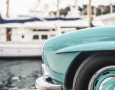 cyan-bird-of-paradise-23
