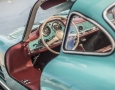 cyan-bird-of-paradise-28