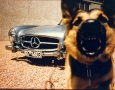 David Douglas Duncan Photography of the "Secret" Mercedes-Benz SLS