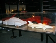 Aerodynamic Car Models