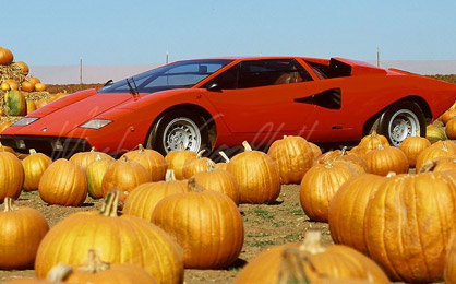 A SMALL PIECE OF UNTOLD LAMBORGHINI HISTORY BY WINSTON GOODFELLOW