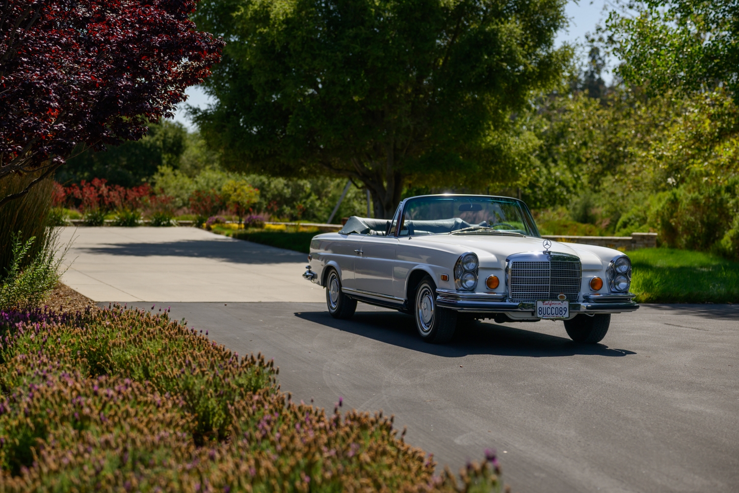 1971 MERCEDES-BENZ 280SL ZF5